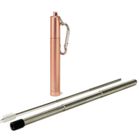 Expandable Straw with Case and Cleaner