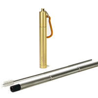 Expandable Straw with Case and Cleaner