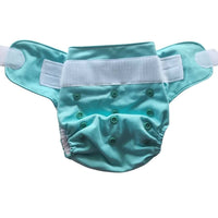 Swim nappy / nappy shell