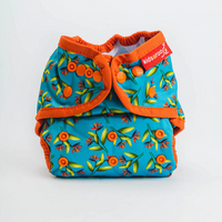 Modern Cloth nappy - Bird-of-paradise