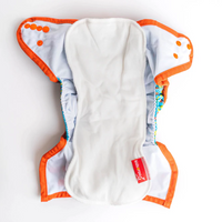 Modern Cloth nappy - Bird-of-paradise