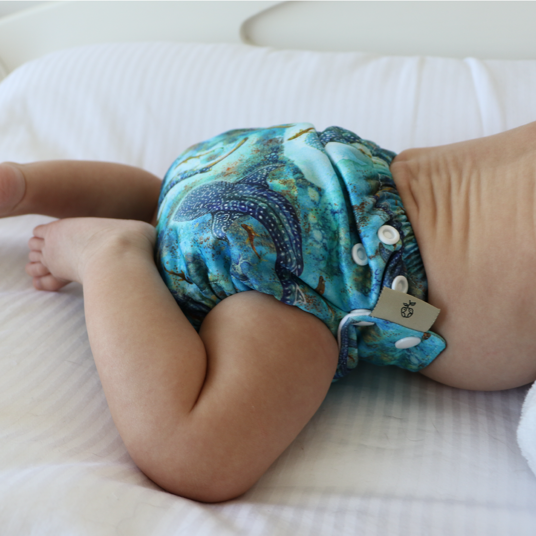 Snapping Cloth 'Ningaloo Dreaming' OSFM Side Snapping Cloth Nappy – GreenerEveryday
