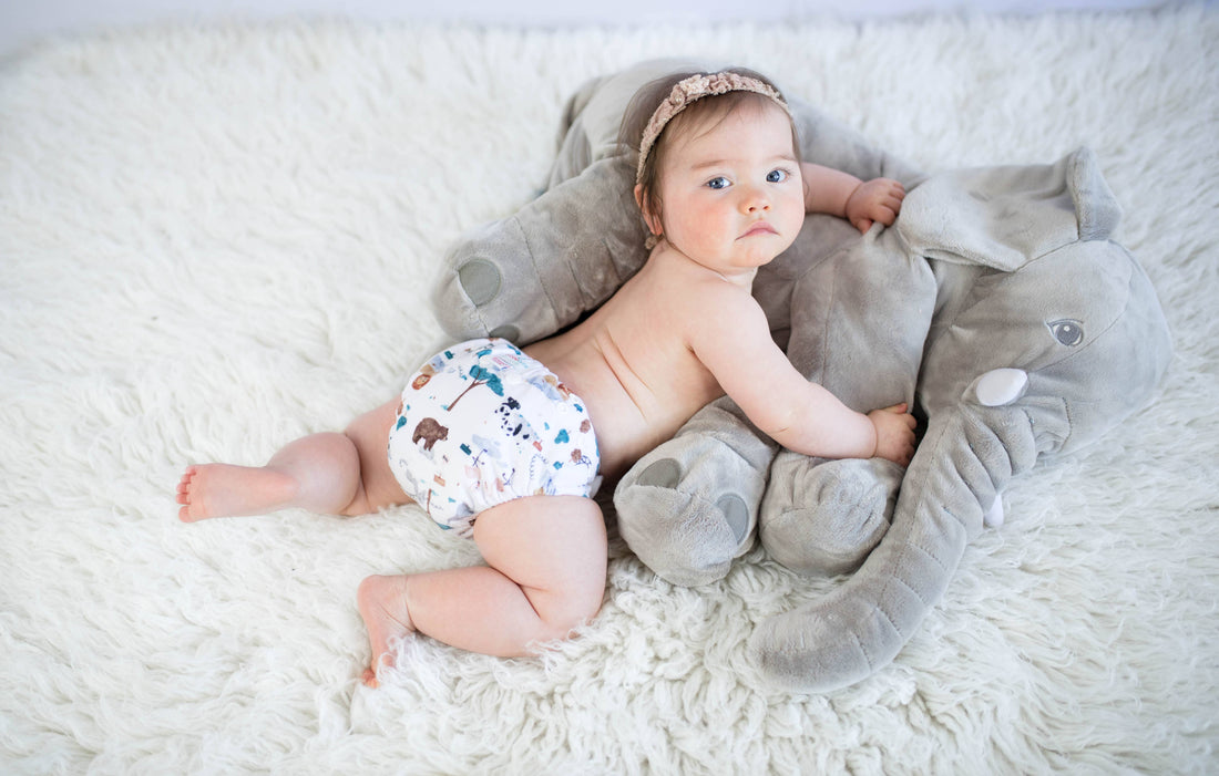 Bubblebubs AI2 Newborn Cloth Nappy