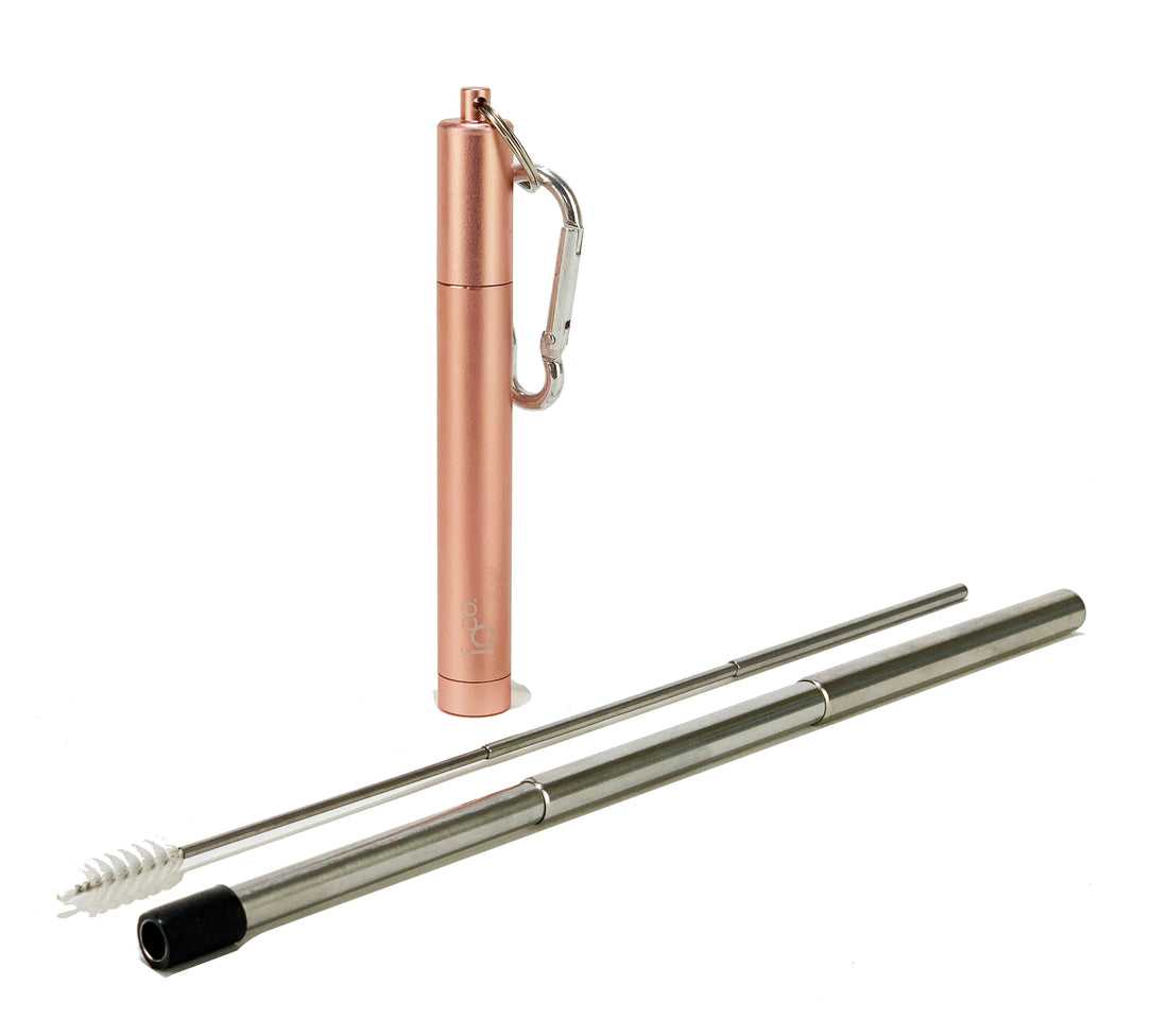 Expandable Straw with Case and Cleaner